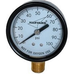 American Granby Eipg1002-4lnl Pressure Gauge, 0-100# 2"x 1/4"lm.