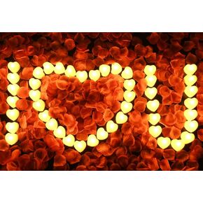 2000 Artificial Rose Petals with LED Tea Lights Kit, for Special and Romantic Night Valentine Wedding Decor(2000pcs Artificial Rose Petals + 24pcs Warm Yellow Lights)