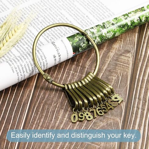 PATIKIL 3.2 Inch Dia Key Organizer Keychain, 1pcs Key Management Holder with 10 Digits Buckles Rings for Office, Bronze in Saudi Arabia