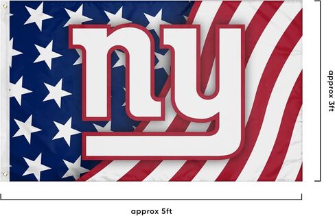 FOCO NFL Unisex-Adult NFL 3' x 5' Team Logo Horizontal Flag in Saudi Arabia