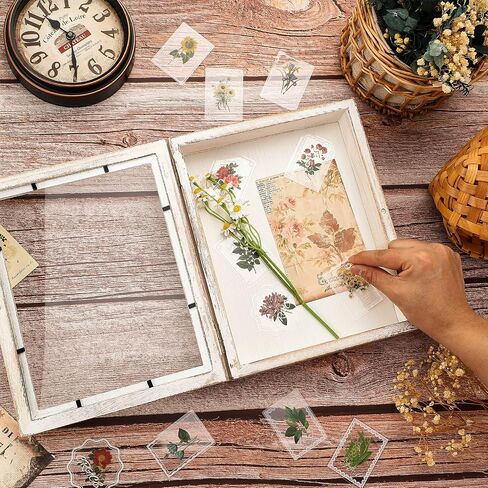 10 Pcs Shadow Box Frame Bulk 8 x 10 Inch Memory Display Real Glass Door Display Box with Linen Back Rustic Picture Frame for Flower Bouquet Photo Keepsake Medal Display Wedding Couple Favor in Saudi Arabia