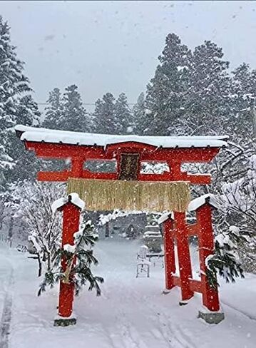 سحر Happy Happy Omamori للعمل، تميمة الحظ اليابانية تجلب الحظ الجيد والحماية، ثروة إلهية، سهم in Saudi Arabia