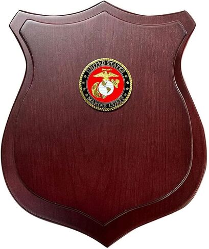 MEDALS OF AMERICA EST. 1976 Sword Display Shield With USMC Seal in Saudi Arabia