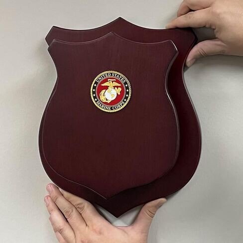 MEDALS OF AMERICA EST. 1976 Sword Display Shield With USMC Seal in Saudi Arabia