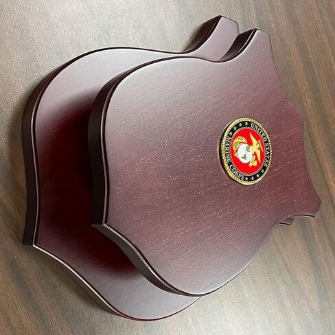 MEDALS OF AMERICA EST. 1976 Sword Display Shield With USMC Seal in Saudi Arabia