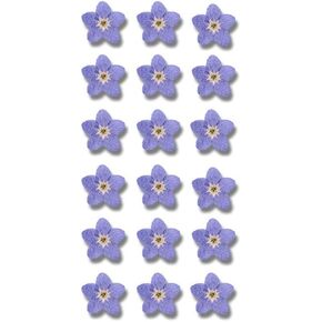 20Pcs Blue Forget Me Not Flowers Myosostis Sylvatica Dried Pressed Flowers for Resin,Soap Making,Scrapbooking,Candle,Epoxy Resin,DIY Art Crafts