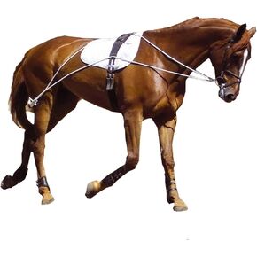 Hunters Saddlery Ultimate Horse Lunging Training Aid System Lunge Equipment for Pony Cob Horse Draft Size