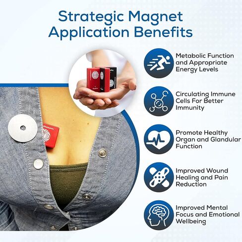 Biomagnetism: Magnetic Therapy Recalibration DIY System Kit - (3 Books, 10 Encased Ceramic Magnets) - SaveMeMagnets in Saudi Arabia