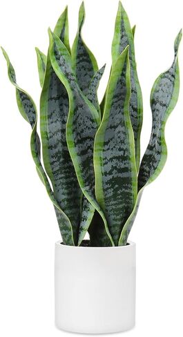 Briful Fake Snake Plant 16" Faux Potted Plant Artificial Snake Plant with White Ceramic Pot Sansevieria Plant Perfect for House Modern Living Room Office Housewarming Gift Indoor Decor in Saudi Arabia