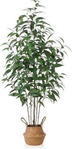 Ferrgoal Artificial Eucalyptus Tree,6Ft Tree Fake Plant in Pot for Home and Office Decor,Potted Faux Plants Tall Artificial Trees for Indoor,Outdoor,Lifelike Home Decoration 2Pack,Green in Kuwait