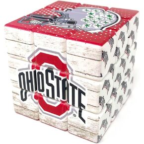 NCAA Ohio State Buckeyes Speed Cube