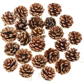 24 Pieces Christmas Natural Pine Cones, Rustic Pinecones Bulk Ornaments with Rope for Home Accent Decor, Fall Thanksgiving Tree Decoration Harvest Autumn Party Craft Accessory Decorations