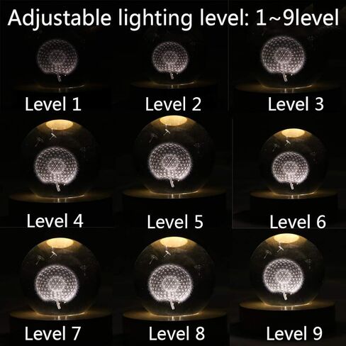 Finaze 12 LED قاعدة إضاءة خشبية قابلة للتعديل لفن الكريستال، بيضاء ودافئة مضاءة، 4 بوصة in Saudi Arabia