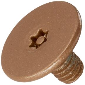 LCN 4210159STA 4210-159 690 Statuary Arm Screw