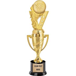 Crown Awards Dodgeball Trophy, 14" Gold Cup Dodgeball Trophies, Enter Your Own Engraving Prime