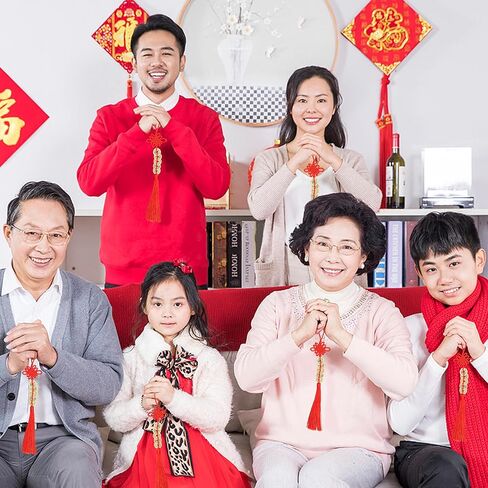 6 قطع زينة السنة الصينية الجديدة، 2024 سنة التنين النحاس عملة فنغ شوي المعلقة الحلي، سحر محظوظ الصينية الذهب عملة عقدة المعلقات للمنزل مهرجان السيارة حظا سعيدا الثروة ثروة النجاح in Kuwait