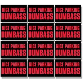 Sheet of 12 Nice Parking Dumbass Stickers (Stupid Bad Driver Park car Vinyl Decal (1x1.5 inch)
