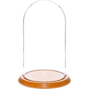 Plymor 5.5" x 10" Glass Display Dome Cloche (no Base)