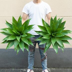 Artificial Agave Plants,Large UV Resistant Fake Agave Planters for Indoor and Outdoor Decorating (1Pack, 22")