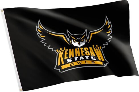 Desert Cactus Kennesaw State University Flag Owls KSU Flag Banners 100% Polyester Indoor Outdoor 3x5 feet Flags (Style 8) in Saudi Arabia