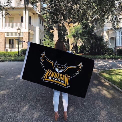 Desert Cactus Kennesaw State University Flag Owls KSU Flag Banners 100% Polyester Indoor Outdoor 3x5 feet Flags (Style 8) in Saudi Arabia
