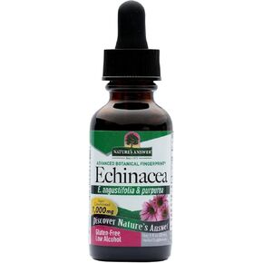 Nature's Answer Echinacea Liquid Drops with Organic Low Alcohol 1 Fluid Ounce NON GMO, Kosher, Gluten Free | Super Concentrated | Immune Support