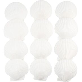 12 PCS Scallop Shells Natural Seashell, 4" to 5" White Scallop Shells Large Seashells for Crafts Wedding Decor Beach Theme Party, Fish Tank and Vase Filler