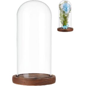 NBEADS Clear Glass Dome, Clear Glass Display Case with Camel Wood Base Decorative Display Dome Case for Plants Flower Display Photos Medals Decoration, Finish Size:4.5x8.5 Inch