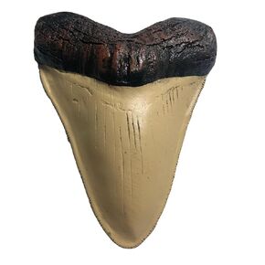 Megalodon Giant Shark Tooth Replica - Museum Quality Fossil Cast (Black)