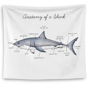 QGFM Shark Tapestry, Shark Wall Decor, Anatomy of a Shark Educational Tapestry Wall Hanging for Classroom Kids Room Bedroom Playroom Decor, Marine Biology Decor, Ocean Classroom Decor, 50x60 Inches