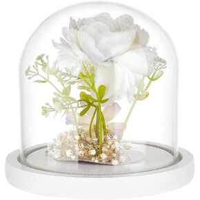 BENECREAT 5x5 Inch White Lacquered Glass Dome Cloche Wooden Display Dome, Clear Glass Cloche Bell Jar for DIY Flower Craft, Christmas Decorations