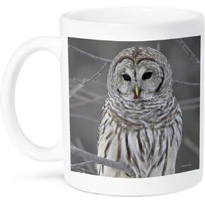 3dRose Barred Owl Mug, 11-Ounce