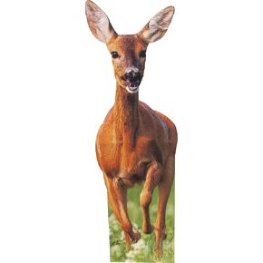 Animal Life Size Cardboard Cutout Stand Up | Standee Picture Poster Photo Print (Deer)