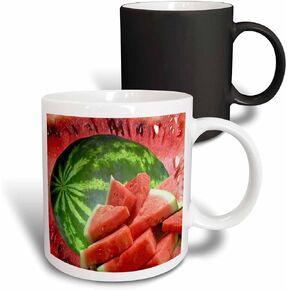 3dRose Praying Mantis Mug, 11-Ounce