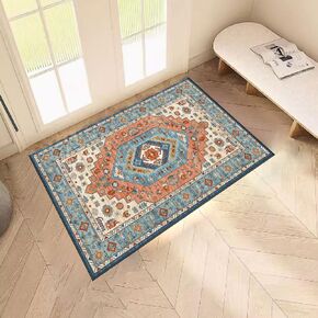 3×4 Living Room Rugs Washable Door Mats Indoor Entryway Rug Colorful Rugs for Dining Room Quick Absorbent Kitchen Rug Non Slip Kids Carpet for Bedroom Foyer Rugs for Entryway