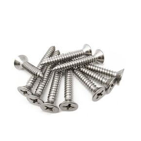 M3 x 6mm / 8mm / 10mm 304 الفولاذ المقاوم للصدأ مسامير الخشب شقة رئيس الصفائح المعدنية مسامير الترباس مسامير التنصت الذاتي 50 قطعة (M3x10)