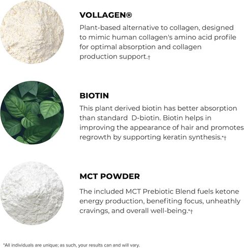 مكمل مسحوق POWERLIFE Power Life® Peak MCT مع الكولاجين النباتي والبيوتين - نكهة الفانيليا (30 حصة) in Kuwait