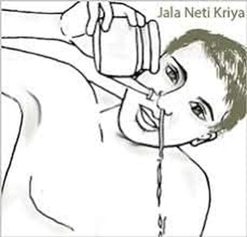 وعاء نيتي من الفولاذ المقاوم للصدأ النقي لاحتقان الجيوب الأنفية in Kuwait