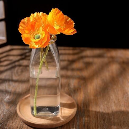 زجاجة زجاجية مزخرفة من ماجيك سيزون مع سدادات من الفلين (زجاجات مربعة سعة 11 أونصة / قطعتين) in Kuwait