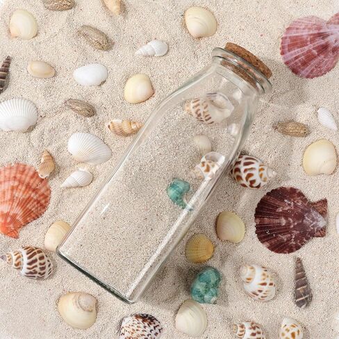 زجاجة زجاجية مزخرفة من ماجيك سيزون مع سدادات من الفلين (زجاجات مربعة سعة 11 أونصة / قطعتين) in Kuwait