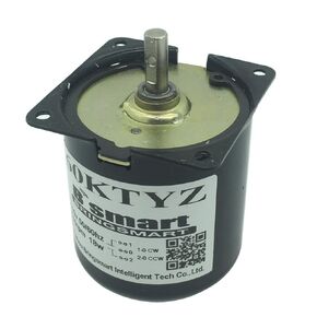 60ktyz 110V 110rpm Ac Motor Low Noise Gearbox Electric Motor Barbecue High Torque 110V Synchronous AC Reduction Motor
