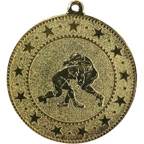 Express Medals Various 10 Pack Styles of Wrestling Award Medals with Neck Ribbons Trophy Award Prize Gift