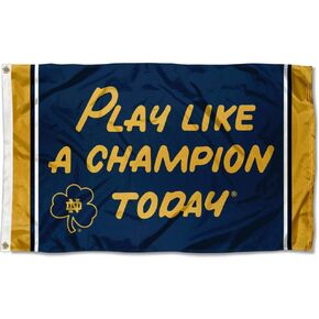 Irish Play Like A Champion Today 3x5 College Flag