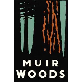 Muir Woods Poster Art Poster Sticker (rv CA California National Park Hike viny decal for car truck or laptop (3 x 4 inch)