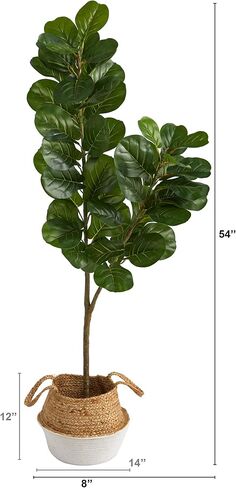 Nearly Natural 4.5ft. Fiddle Leaf Fig Artificial Tree with Boho Chic Handmade Cotton & Jute White Woven Planter in Saudi Arabia