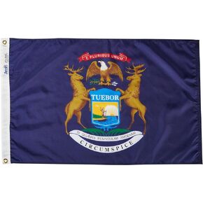 Annin Flagmakers Michigan State Flag USA-Made to Official State Design Specifications, 4 x 6 Feet (Model 142670)
