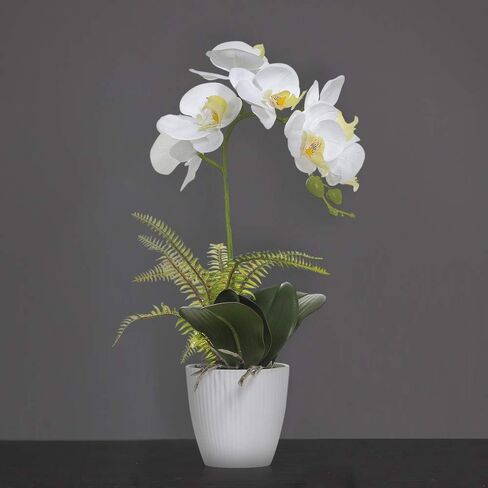 Olrla White Orchid Artificial Flower in Pot, Faux Phaleanopsis Orchid Bonsia for Office Home Wedding Party Indoor Table Decor (White 1) in Kuwait