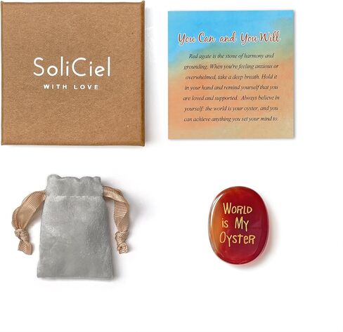World is My Oyster Agate Healing Crystal Inspirational Gifts You Got This Cheer Up Gift for Women Men in Kuwait