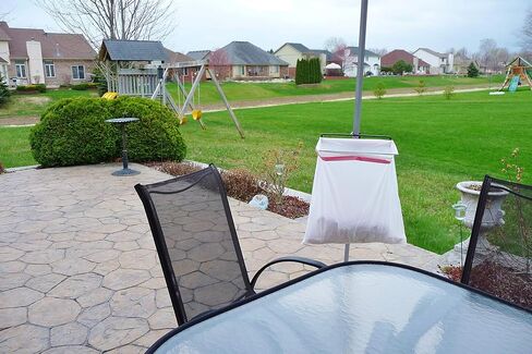 Trash-Ease-Canopy 1 بوصة - حامل أكياس القمامة المحمول - لخيمة المظلة. رائعة للاستخدام في: التخييم، والتخييم، وحجم كيس القمامة برباط 13 جالون، لا حاجة لأي أدوات (13 جالونًا أسود وأسود) in Kuwait