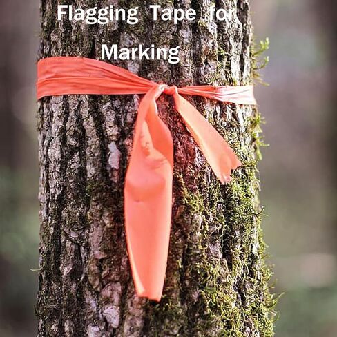 10 لفات 3280 قدم إجمالي 1 بوصة شريط أعلام برتقالي، شريط مساح علامات نيون غير لاصق، شريط أعلام عاكس متعدد الأغراض لوضع العلامات والحدود ووضع علامات على المسار، 328 قدم/لفة in Kuwait